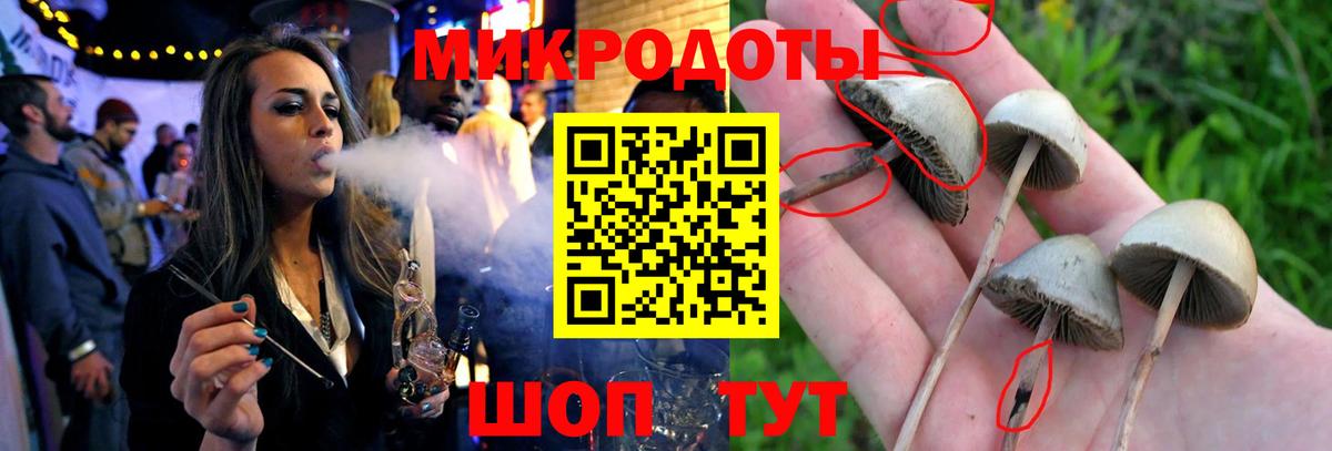 Михайловка  Галлюциногенные грибы Cubensis  Вход с VPN 